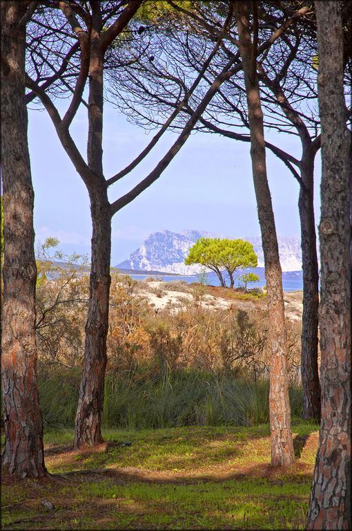 Appartamenti Le Magnolie Budoni Esterno foto